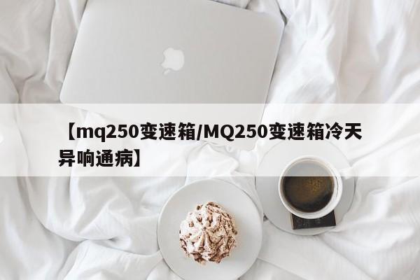 【mq250变速箱/MQ250变速箱冷天异响通病】