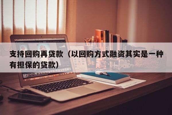 支持回购再贷款(以回购方式融资其实是一种有担保的贷款)