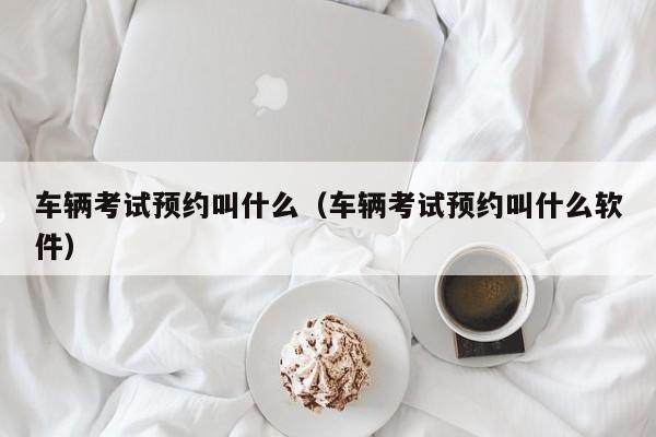 车辆考试预约叫什么(车辆考试预约叫什么软件)