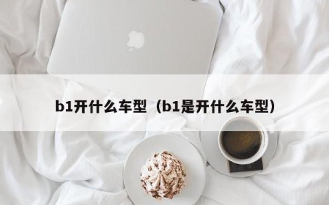 b1开什么车型（b1是开什么车型）
