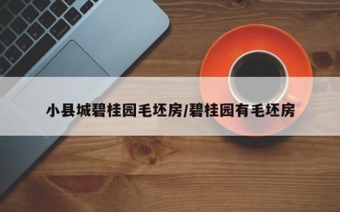 小县城碧桂园毛坯房/碧桂园有毛坯房