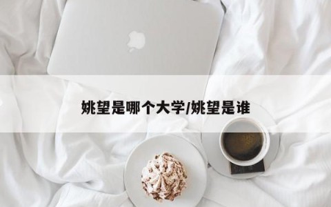 姚望是哪个大学/姚望是谁