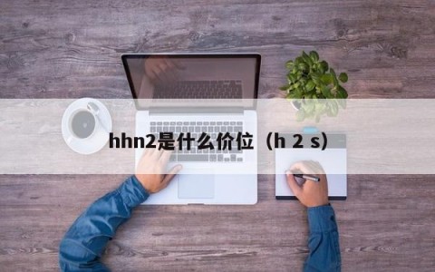 hhn2是什么价位（h 2 s）