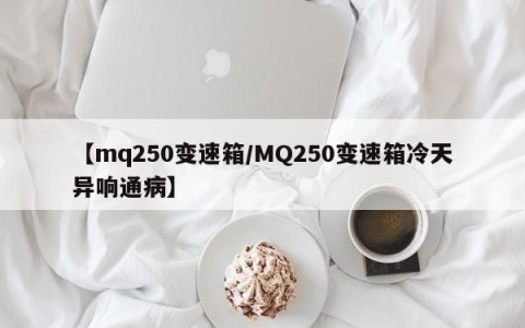 【mq250变速箱/MQ250变速箱冷天异响通病】