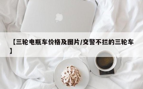 【三轮电瓶车价格及图片/交警不拦的三轮车】