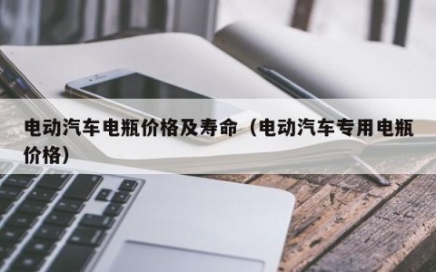 电动汽车电瓶价格及寿命（电动汽车专用电瓶价格）