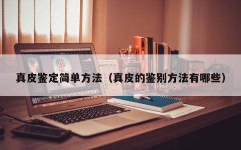 真皮鉴定简单方法（真皮的鉴别方法有哪些）