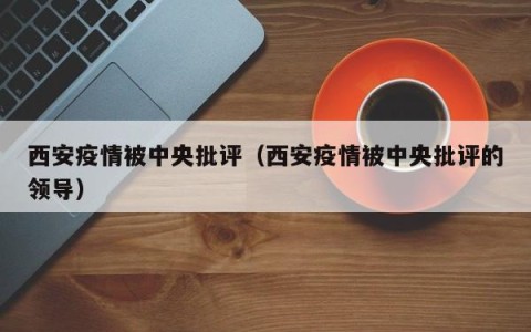 西安疫情被中央批评（西安疫情被中央批评的领导）
