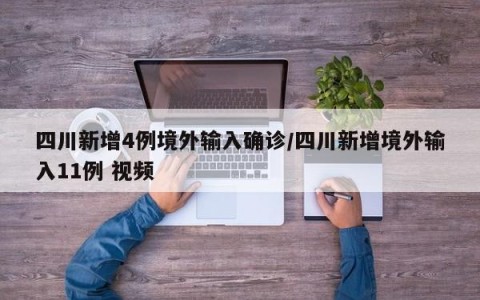 四川新增4例境外输入确诊/四川新增境外输入11例 视频