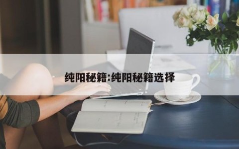 纯阳秘籍:纯阳秘籍选择