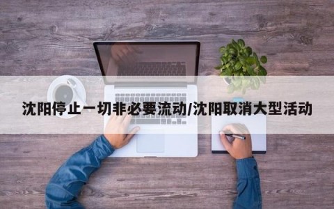 沈阳停止一切非必要流动/沈阳取消大型活动